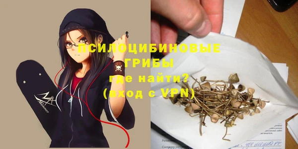 apvp Магадан