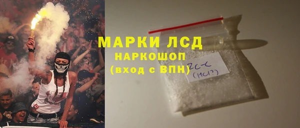 СК Медвежьегорск