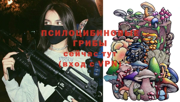 СК Медвежьегорск
