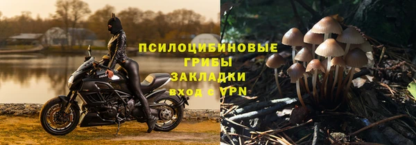 соль ск Мегион